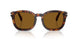 24/33 - Tortoise - Brown