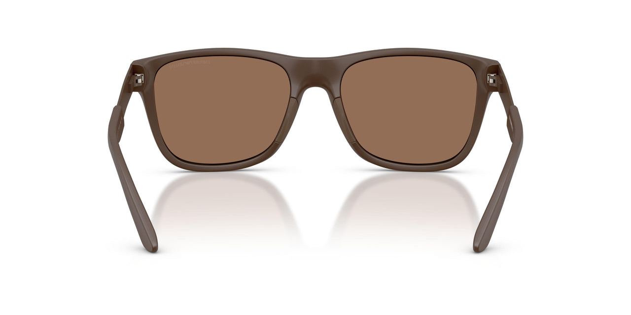 624373 - Brown - Dark Brown