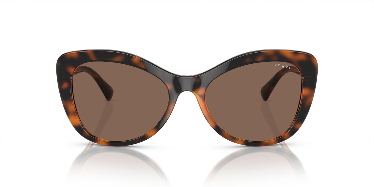 W65673 - Brown - Dark Brown