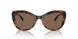 W65673 - Brown - Dark Brown