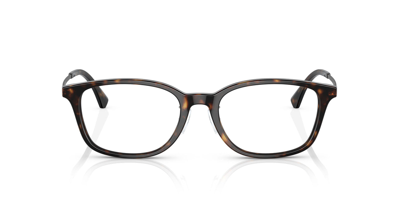 5026 - Tortoise