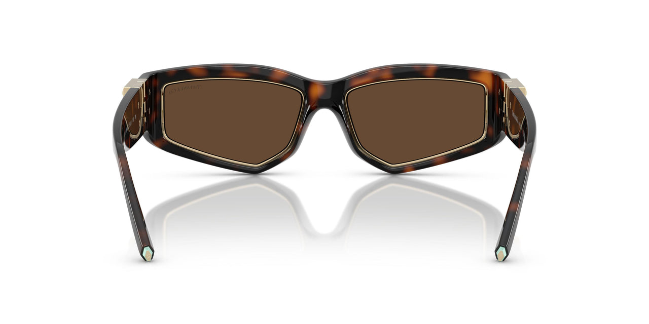 80153G - Tortoise - Light Brown
