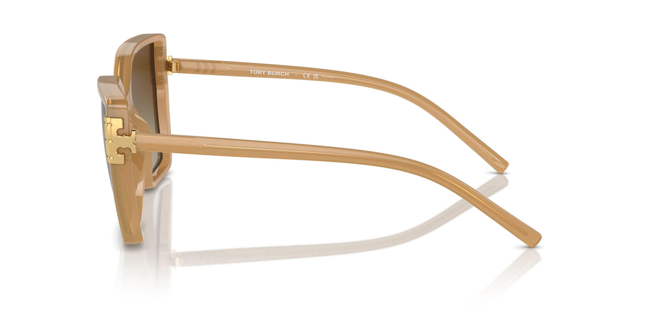1965T5 - Brown - Brown Polarized