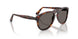 24/B1 - Tortoise - Dark Grey