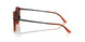6404R5 - Brown - Blue