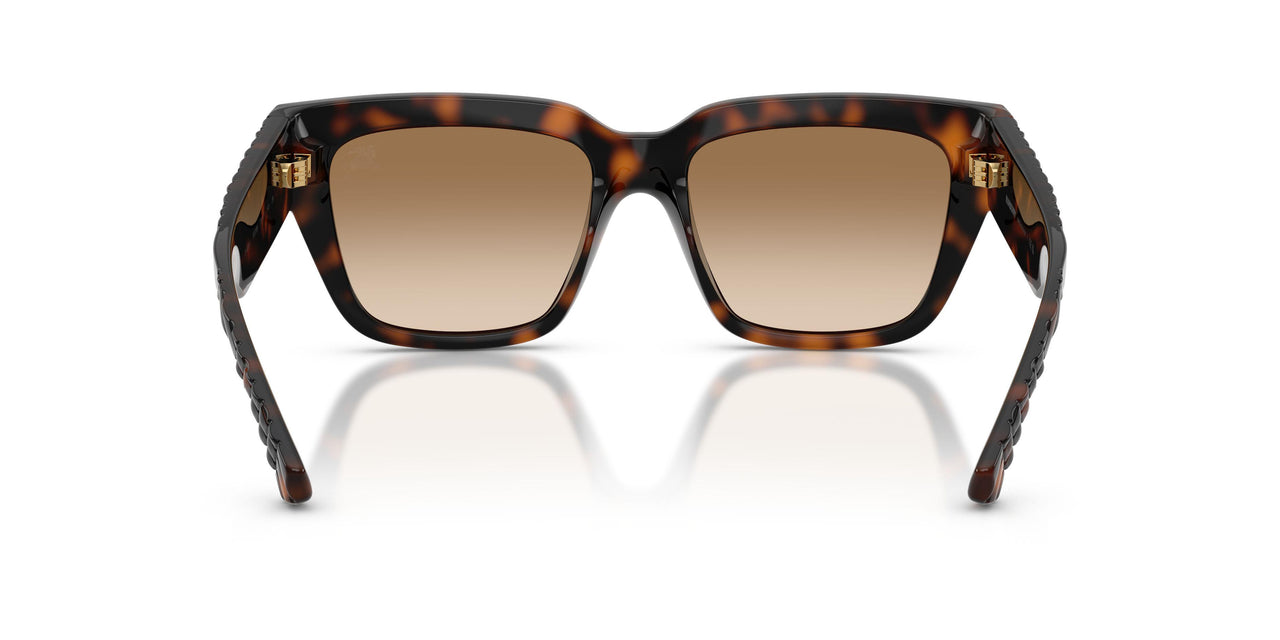 300289 - Brown - Brown Gradient