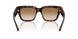 300289 - Brown - Brown Gradient