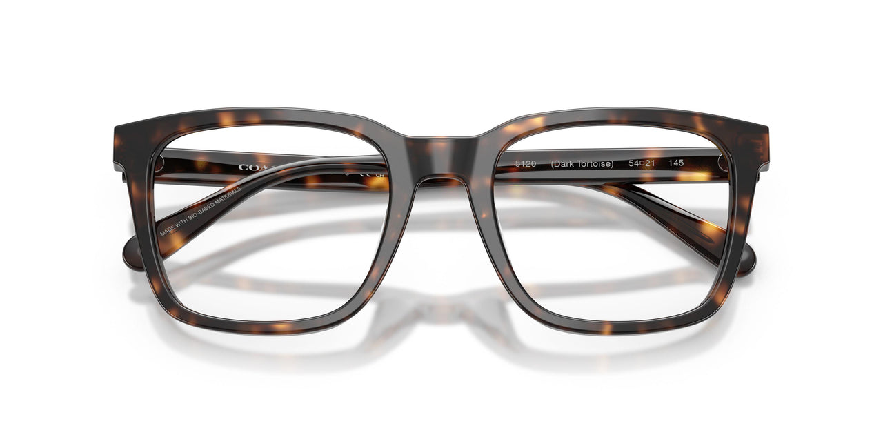5120 - Tortoise