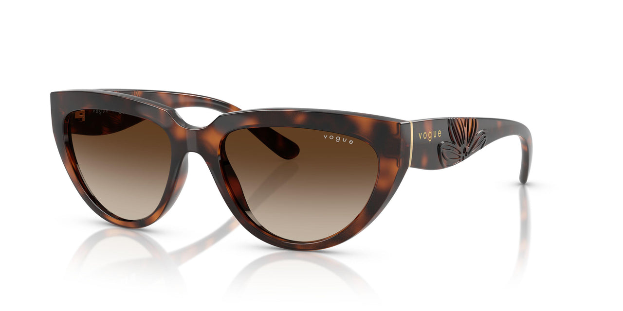 271813 - Brown - Gradient Dark Brown
