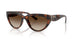 271813 - Brown - Gradient Dark Brown