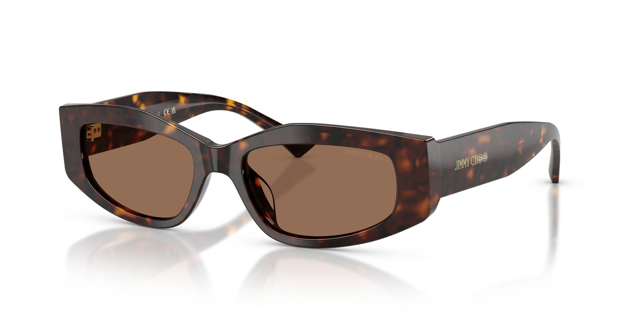 500273 - Tortoise - Dark Brown