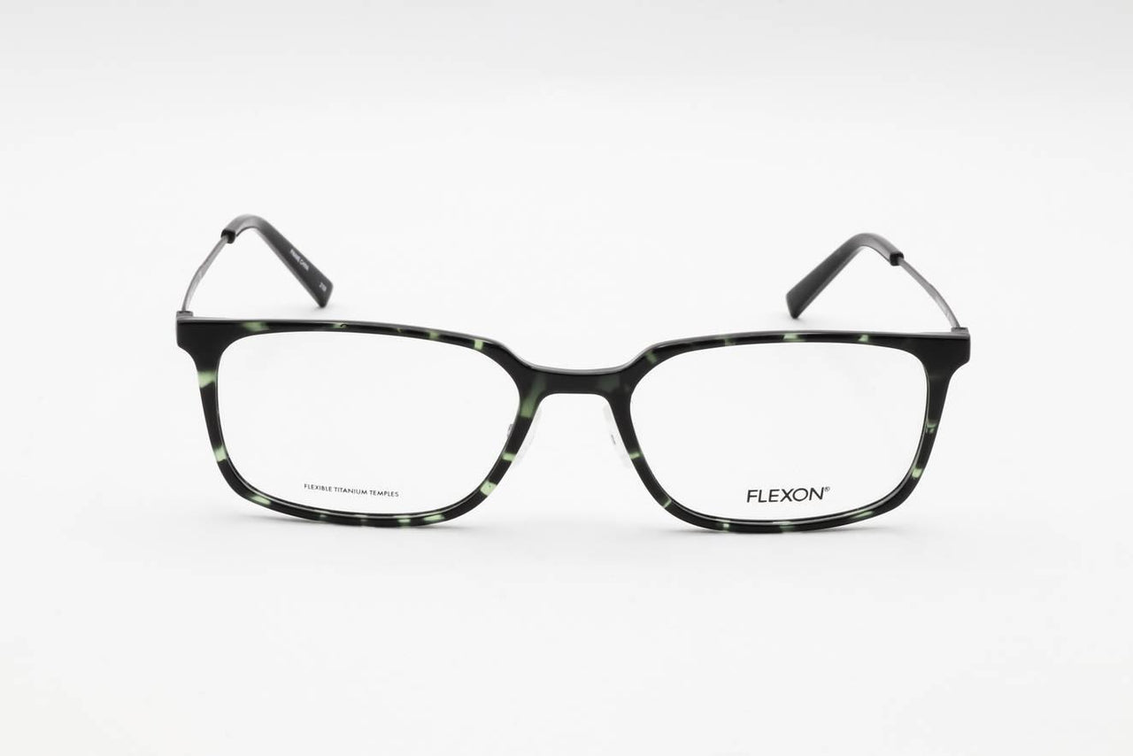 340 - SHINY OLIVE TORTOISE
