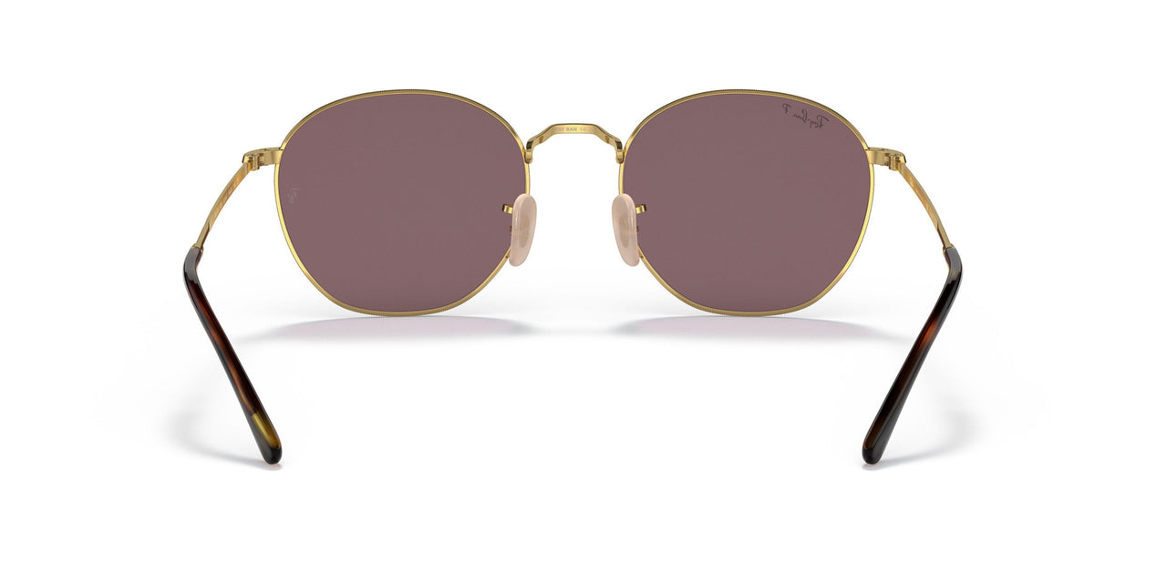 001/AF - Gold - Dark Violet Polar