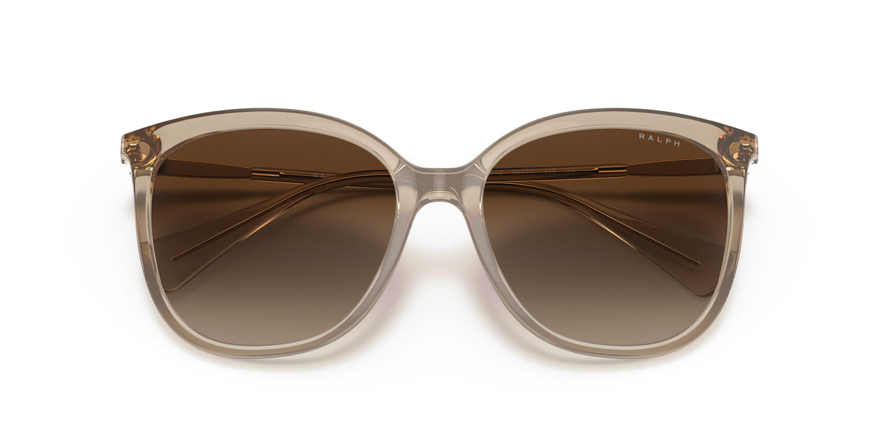 580213 - Brown - Gradient Brown
