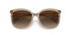 580213 - Brown - Gradient Brown