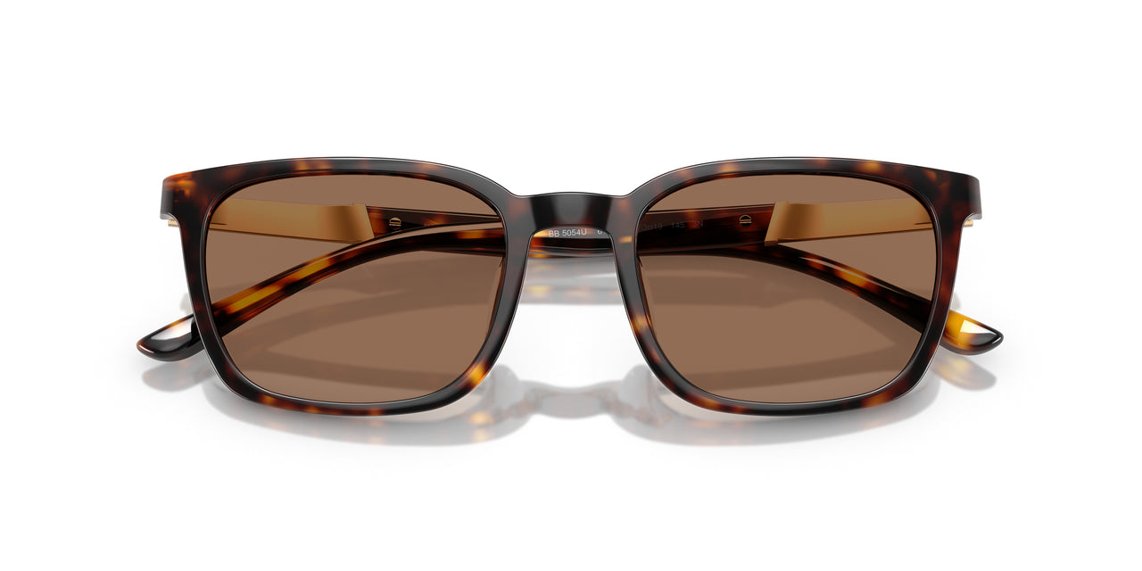 616173 - Tortoise - Dark Brown