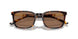 616173 - Tortoise - Dark Brown