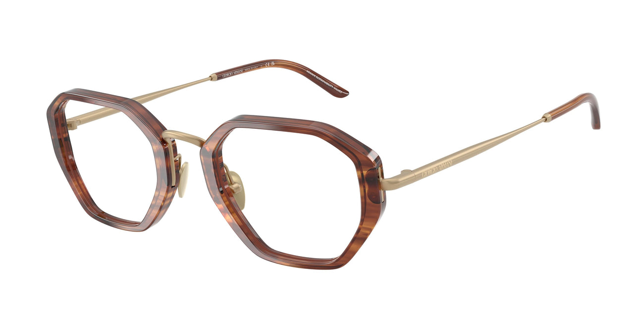 6162 - Tortoise
