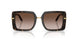 321713 - Tortoise - Brown Gradient