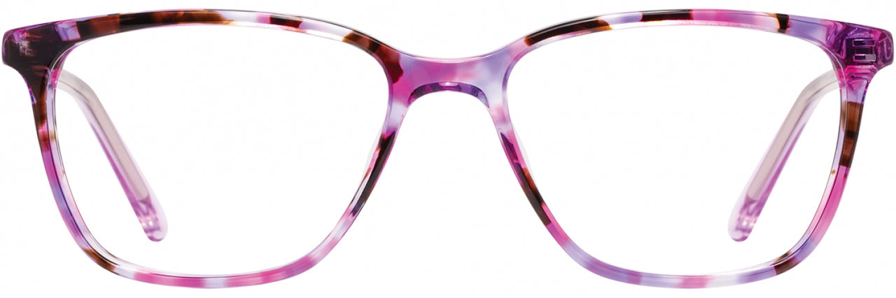 1 - Magenta Tortoise