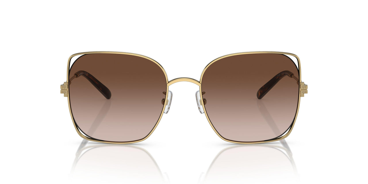 331613 - Gold - Light Brown Gradient Dark Brown