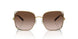 331613 - Gold - Light Brown Gradient Dark Brown
