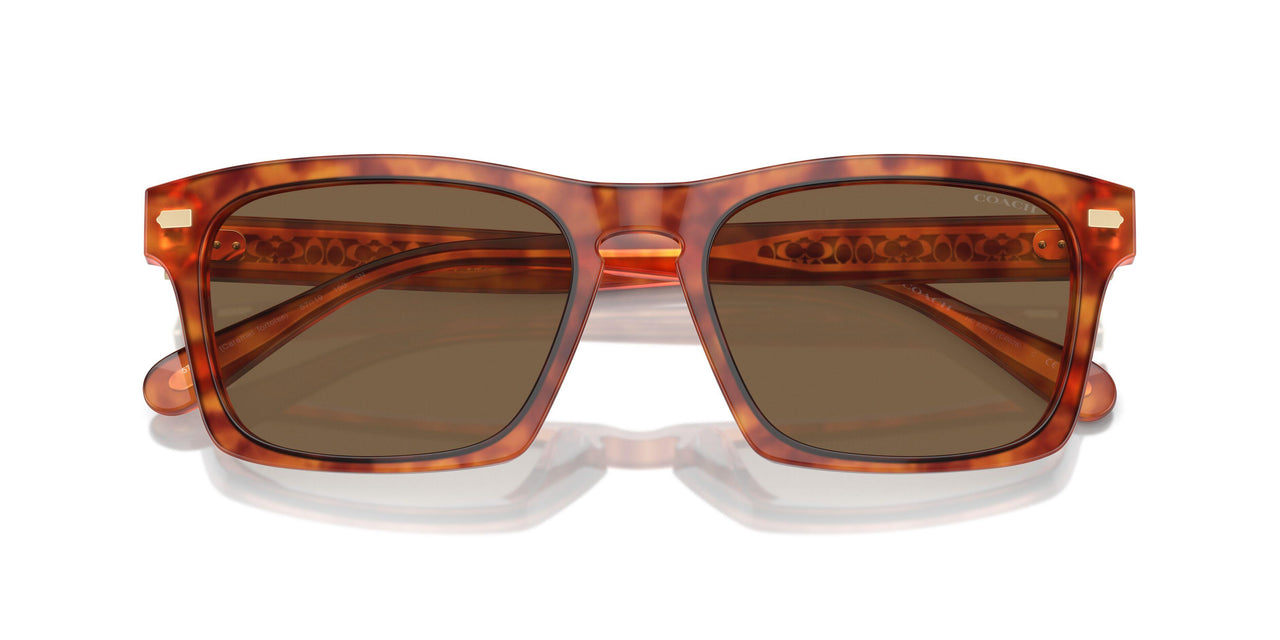 577473 - Tortoise - Brown Solid