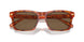 577473 - Tortoise - Brown Solid