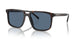 17N06A - Tortoise - Dark Blue