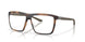 802904 - Tortoise