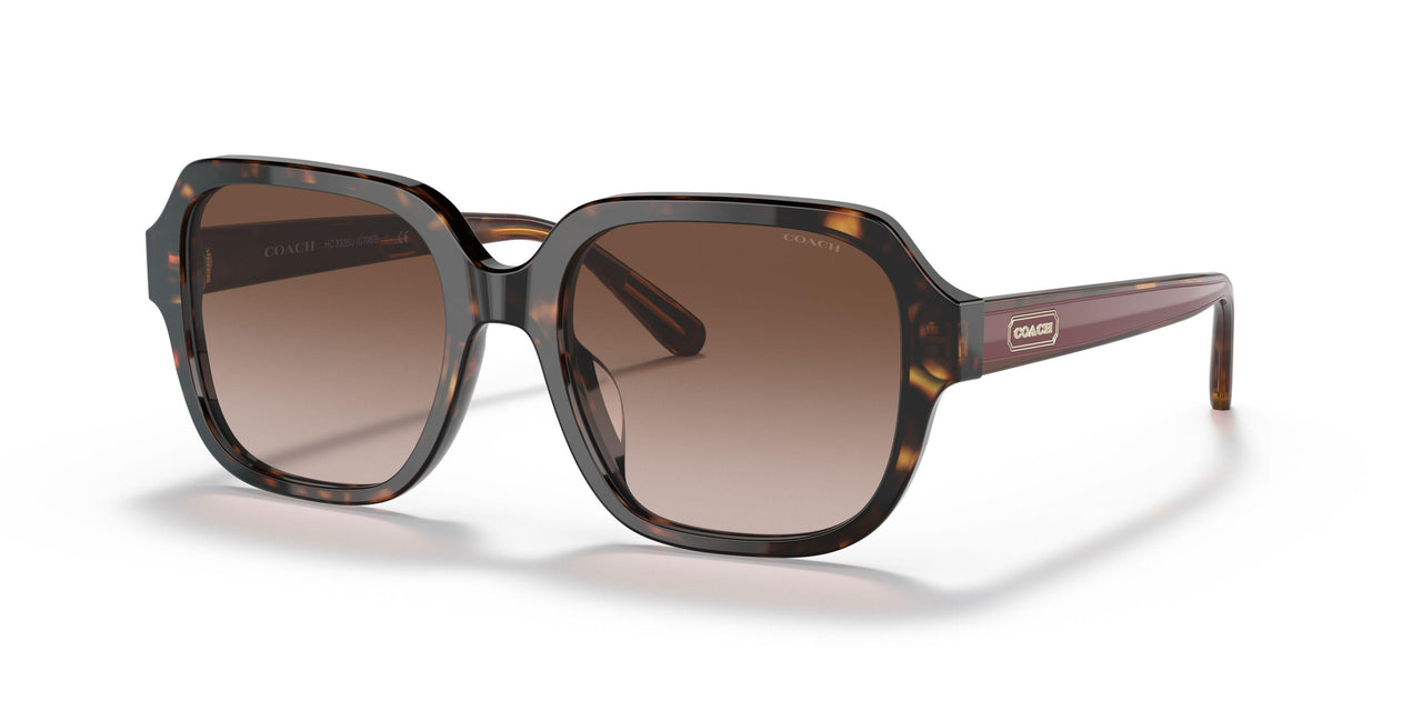 512013 - Havana - Brown Gradient