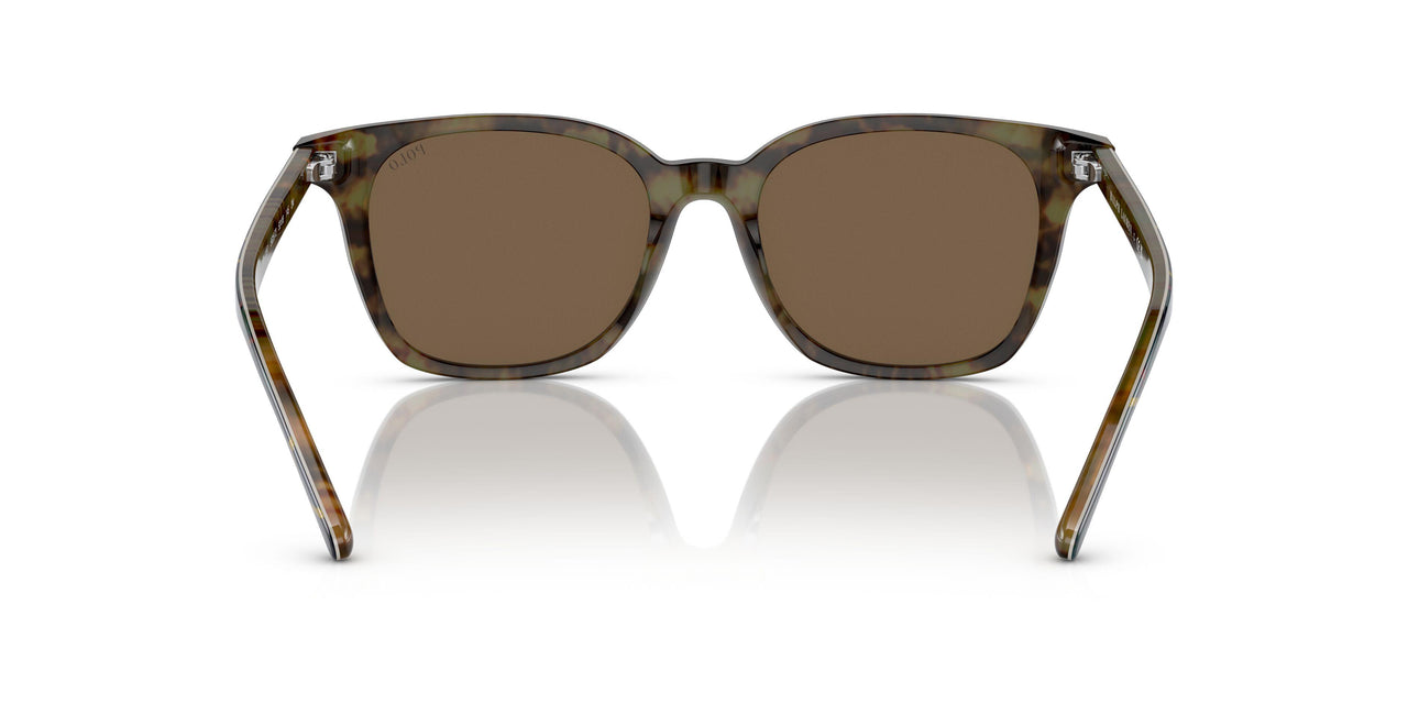 562573 - Multi - Brown