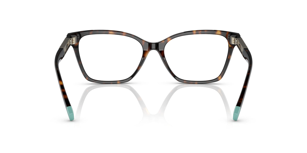 8015 - Tortoise