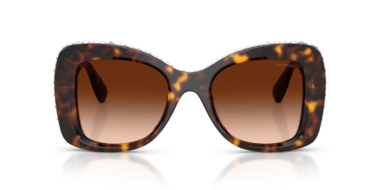 109474 - Tortoise - Gradient Brown