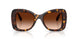 109474 - Tortoise - Gradient Brown