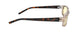 08801 - Rose Tortoise - Amber