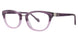 Purple - Plum Orchid Fade