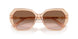 106313 - Brown - Gradient Brown