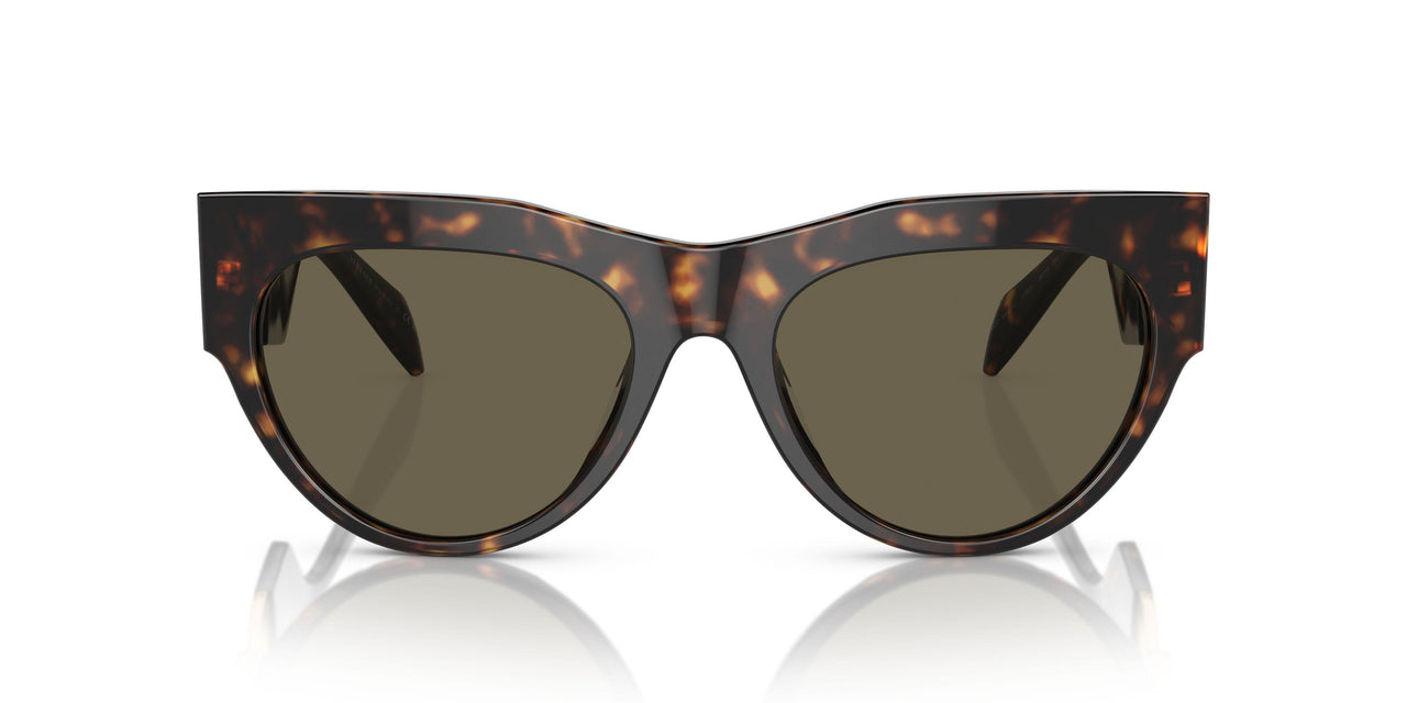 108/3 - Tortoise - Brown