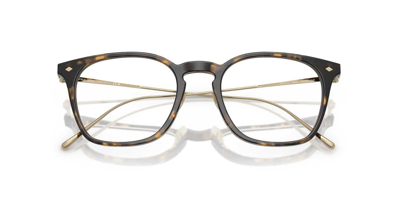 6207 - Tortoise