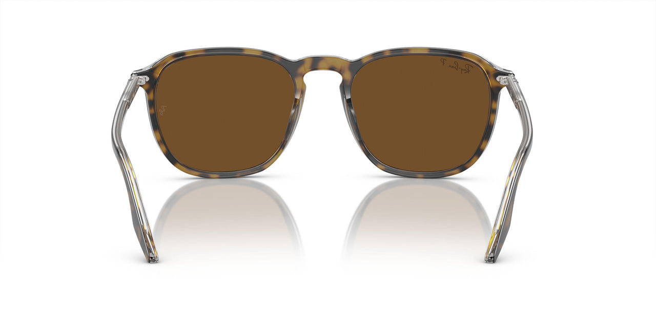 139357 - Tortoise - Brown