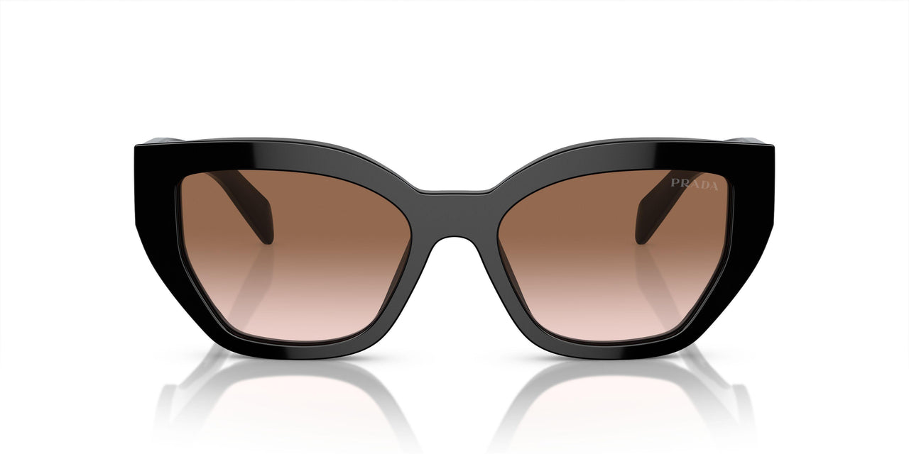 1AB0A6 - Black - Brown Gradient