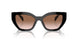 1AB0A6 - Black - Brown Gradient