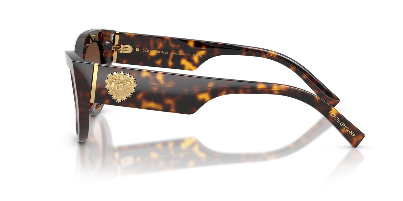 502/13 - Tortoise - Gradient Brown