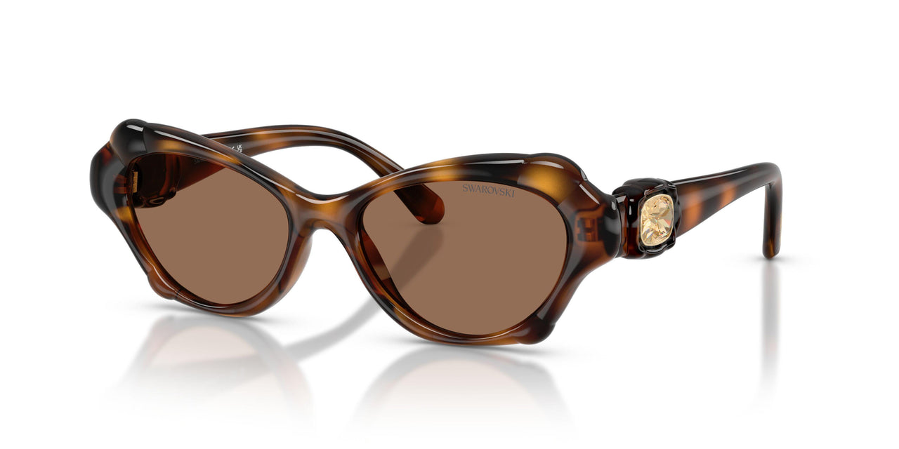 100273 - Tortoise - Dark Brown