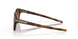 926560 - Brown - Prizm Brown Gradient