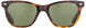 1 - Tortoise - True-Tone Green