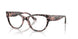 3150 - Tortoise