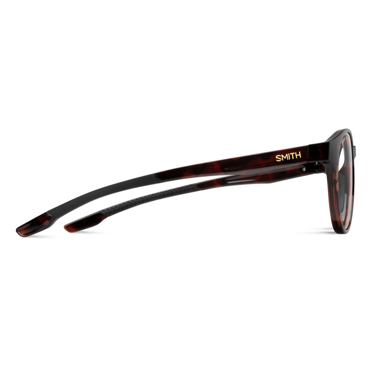 1100890865119 - Tortoise