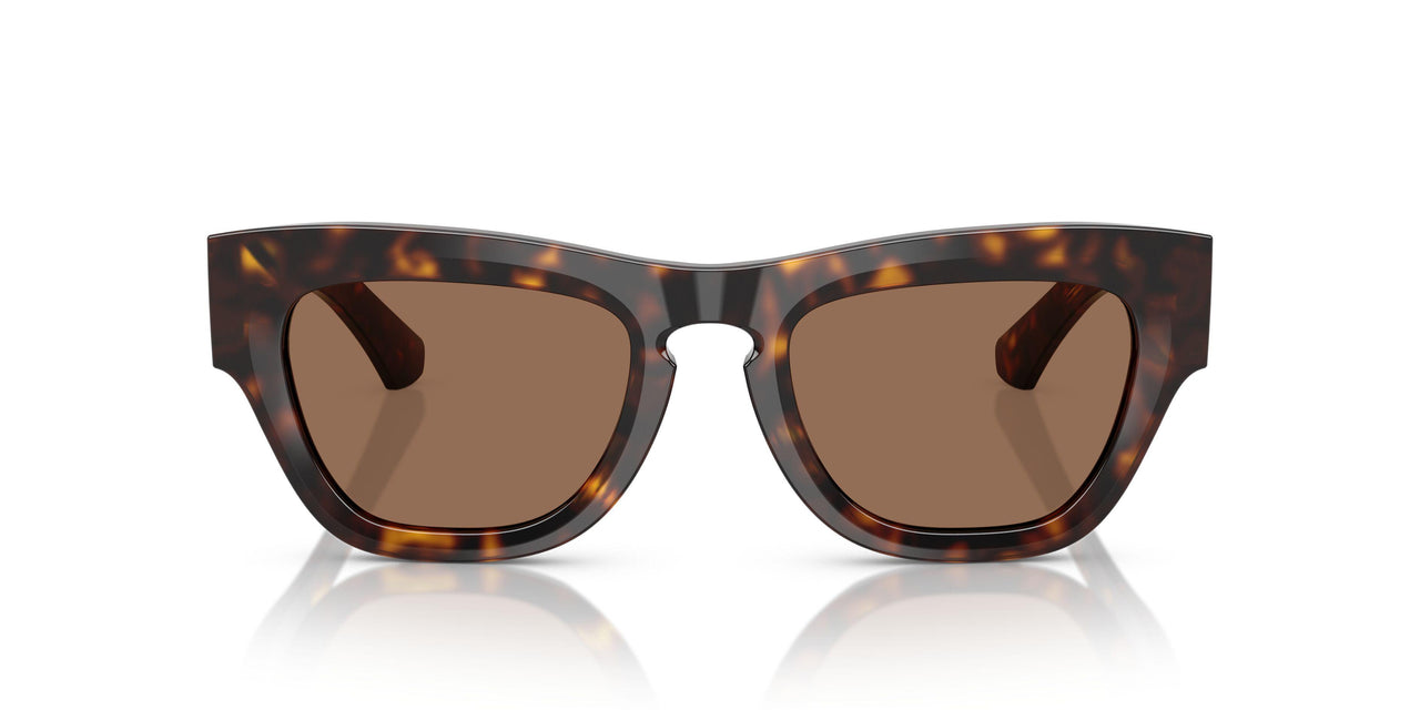300273 - Brown - Dark Brown